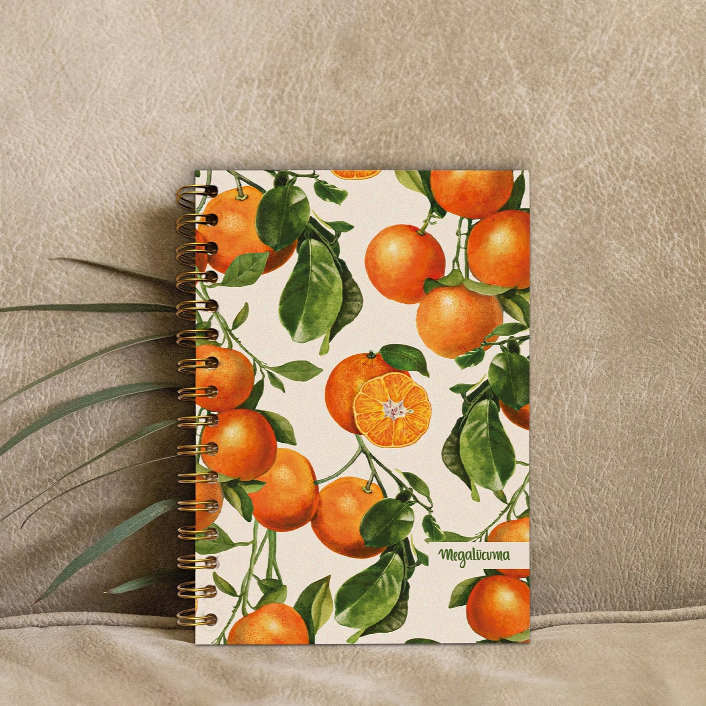 Journal, cuaderno, oraciones, apuntes.