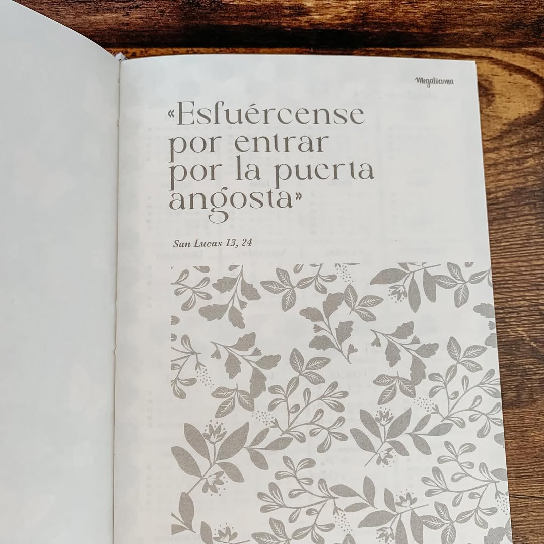 Planner Puerta Angosta - Palo Rosa