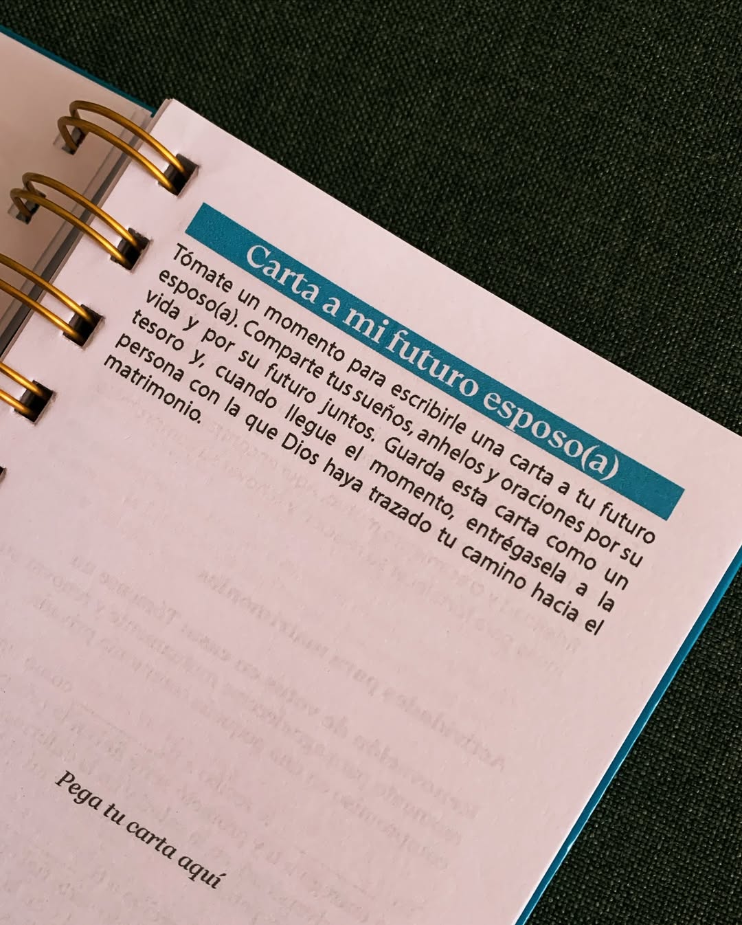 Journal Amor sobre Roca