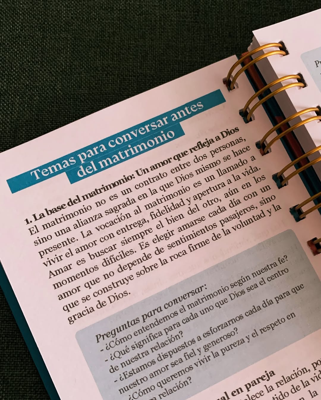 Journal Amor sobre Roca
