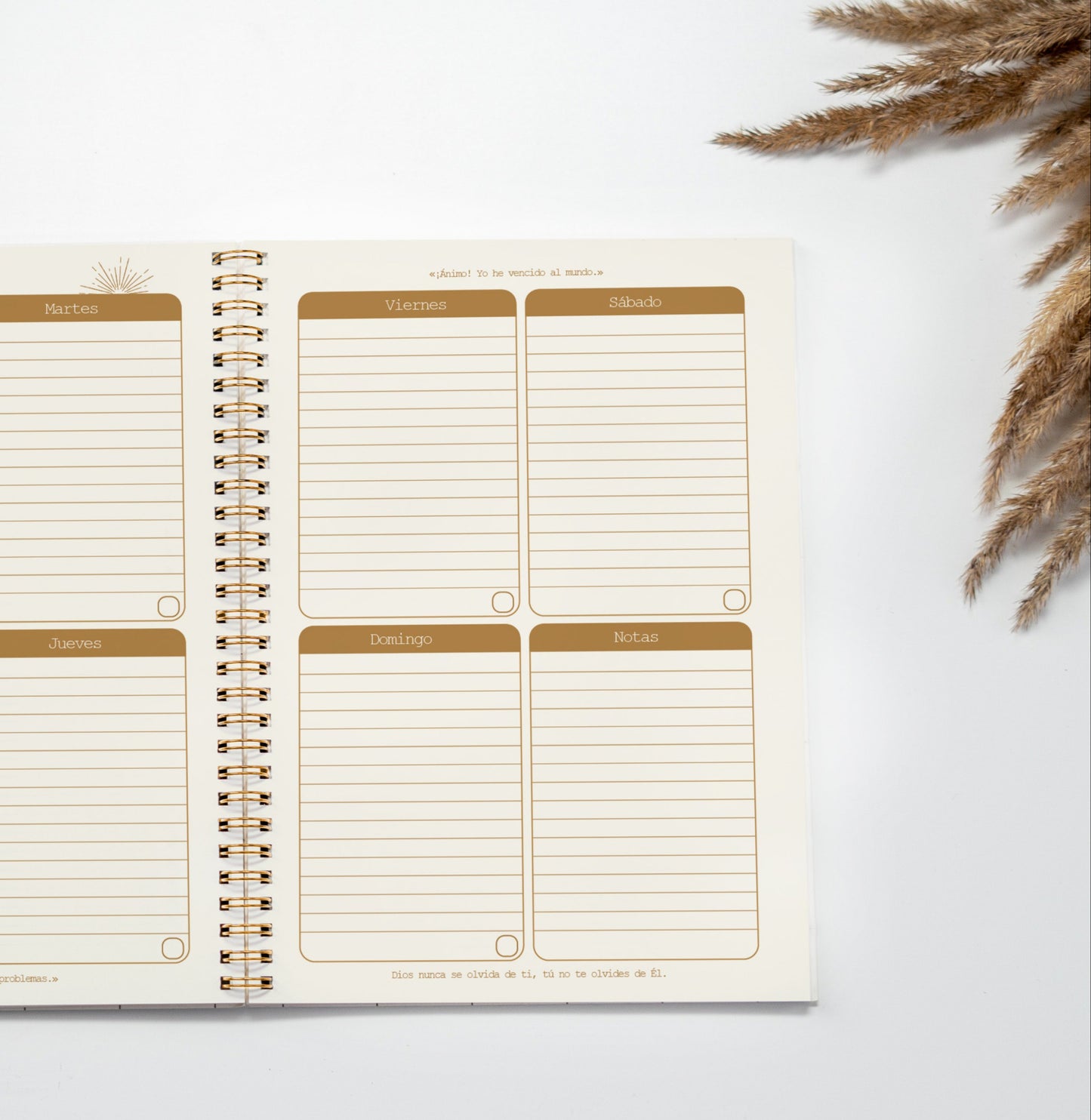 Planner Ilumina