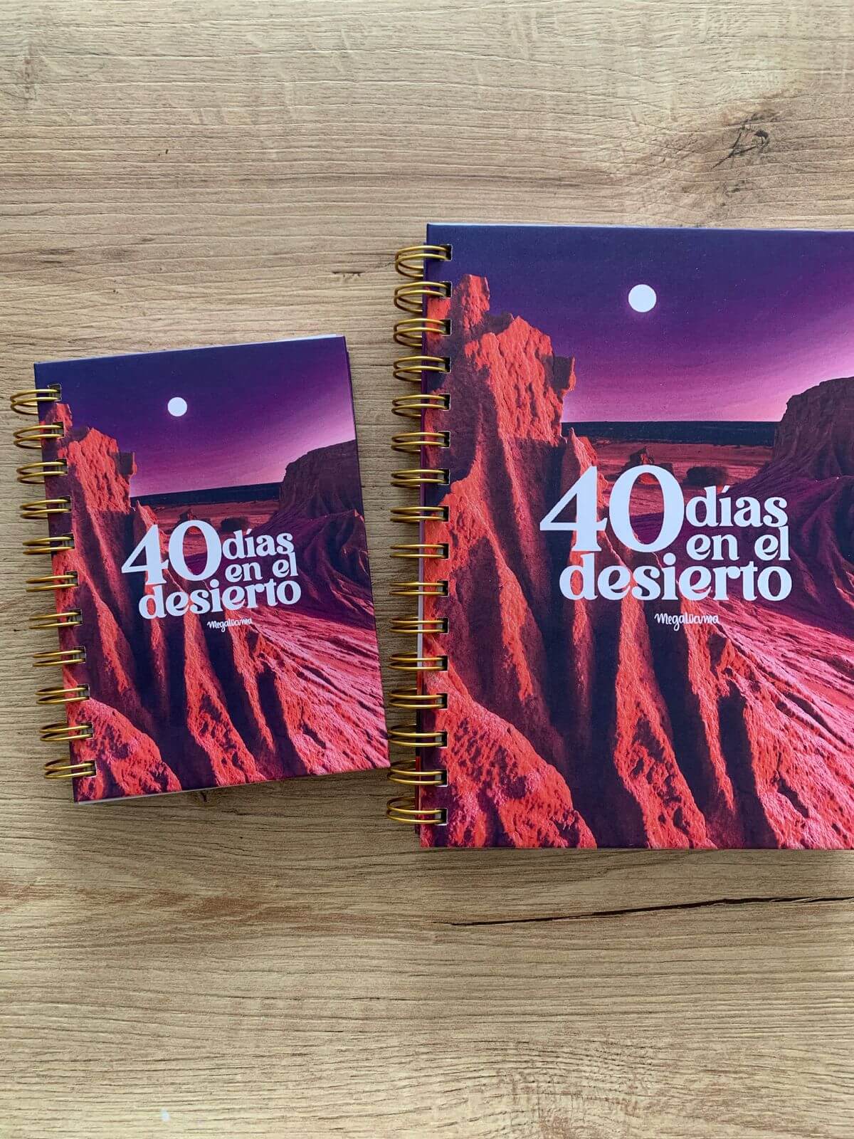 Journal 40 días en el desierto