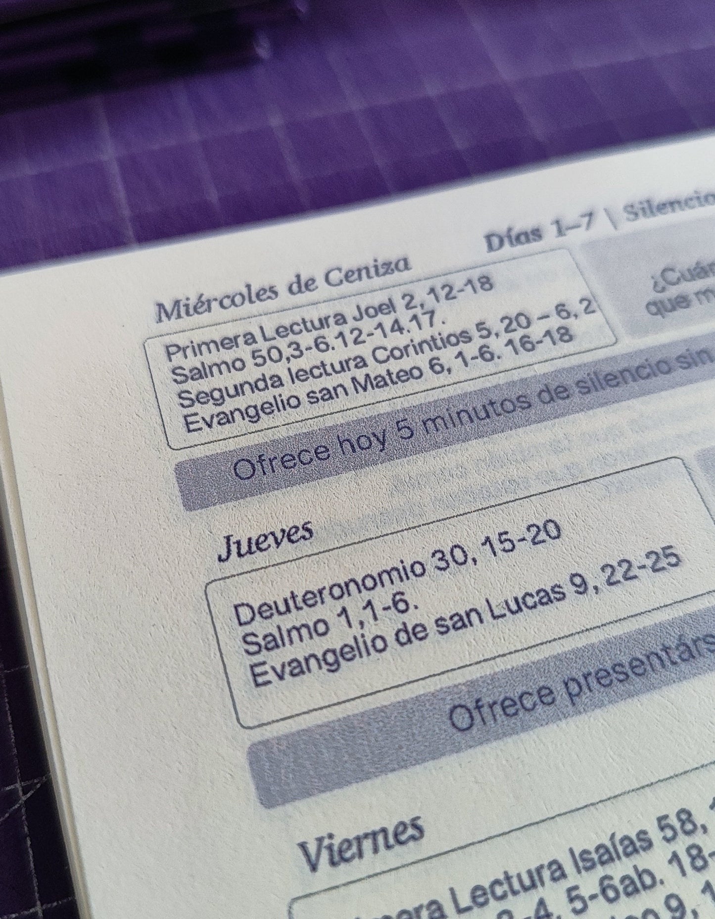 Journal 40 días en el desierto