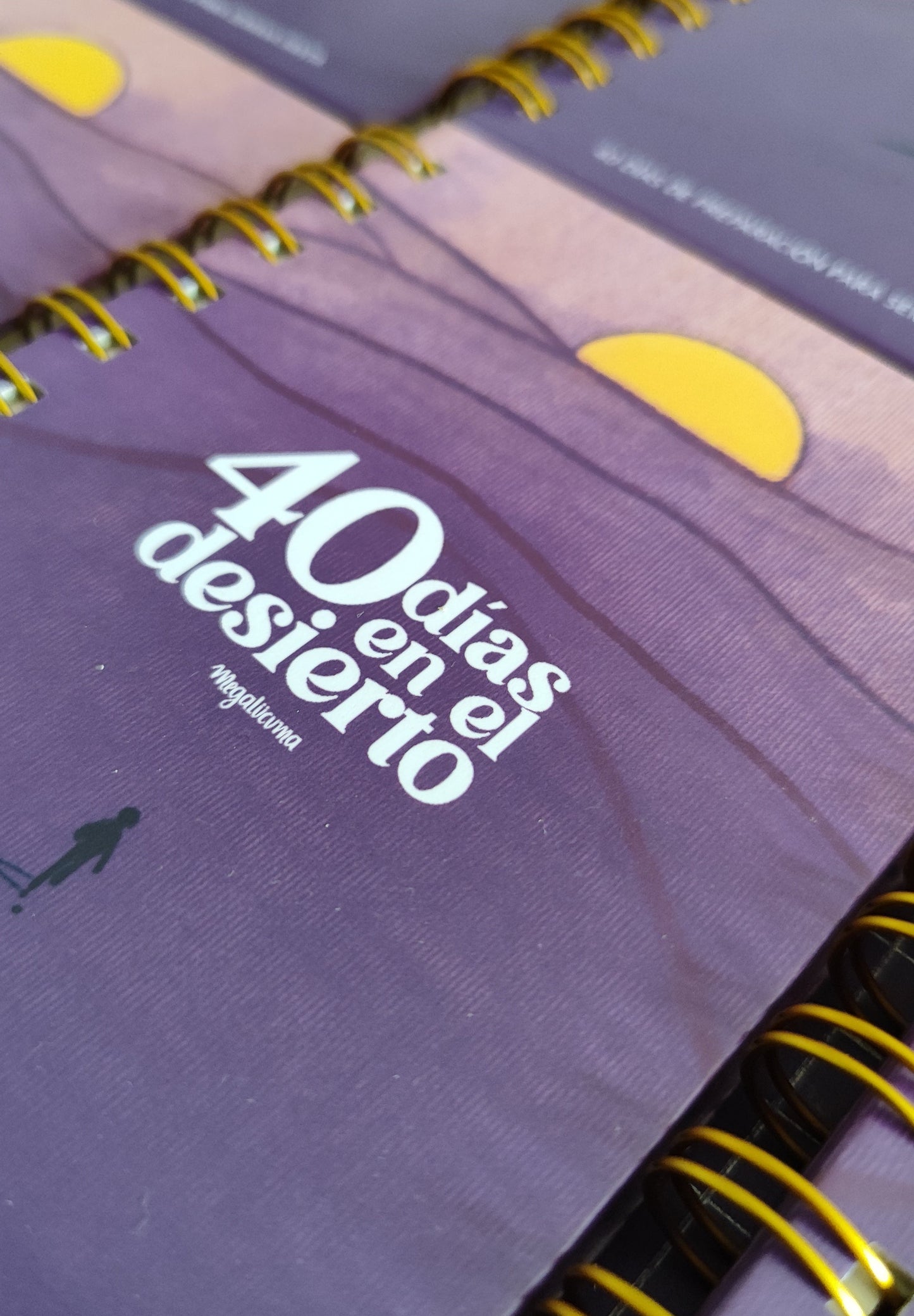 Journal 40 días en el desierto