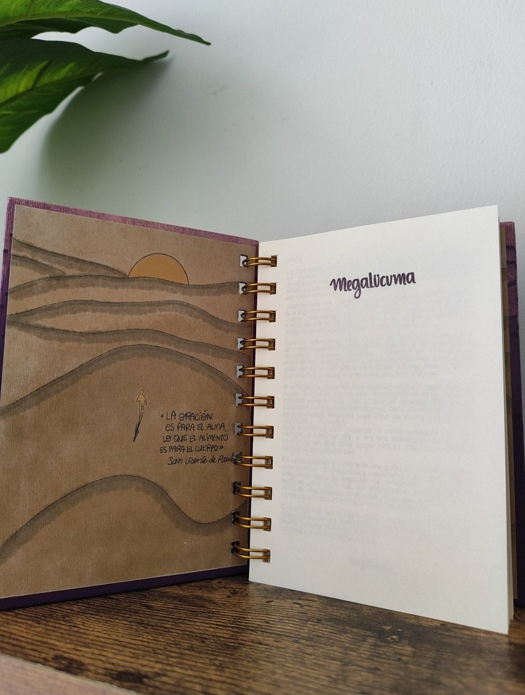 Journal 40 días en el desierto
