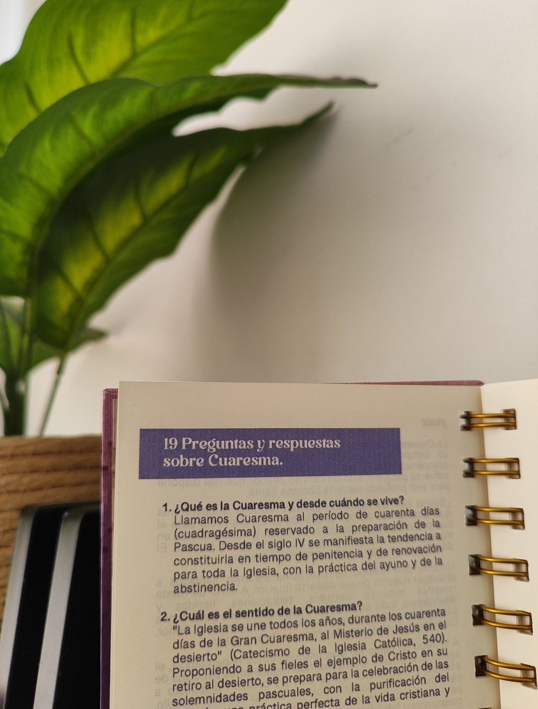Journal 40 días en el desierto